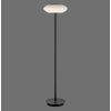 Paul Neuhaus Q-ETIENNE Lampa Stojąca LED Czarny, 1-punktowy, Zdalne sterowanie
