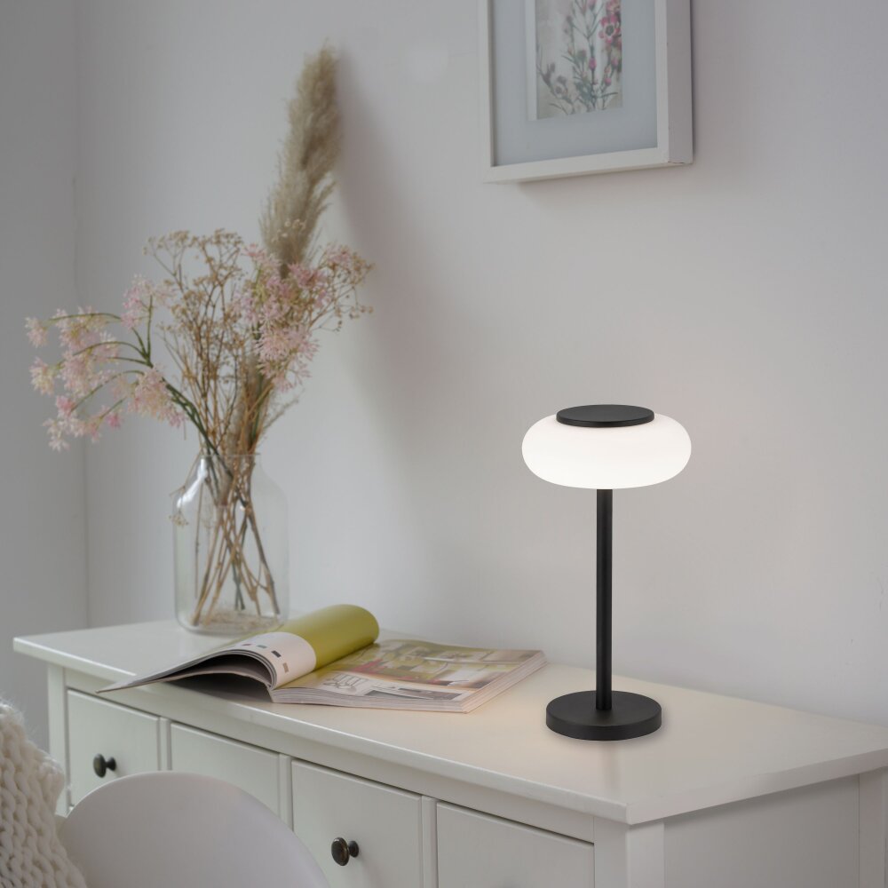 Paul Neuhaus Q-ETIENNE lampka nocna LED Czarny, 1-punktowy, Zdalne sterowanie main product photo