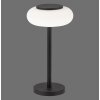 Paul Neuhaus Q-ETIENNE lampka nocna LED Czarny, 1-punktowy, Zdalne sterowanie
