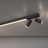 Paul Neuhaus PURE-LINES Lampa Sufitowa LED Antracytowy, 1-punktowy, Zdalne sterowanie