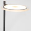 Steinhauer Turound Lampa Stojąca oświetlająca sufit LED Czarny, 2-punktowe