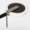 Steinhauer Turound Lampa Stojąca oświetlająca sufit LED Czarny, 2-punktowe