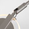 Steinhauer Turound Lampa Stojąca LED Stal szczotkowana, 1-punktowy