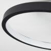 Tagsdorff Lampa Sufitowa LED Czarny, Biały, 1-punktowy