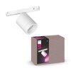 Philips Hue Perifo Lampa Sufitowa LED Biały, 1-punktowy, Zmieniacz kolorów