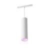 Philips Hue Perifo Lampa Wisząca LED Biały, 1-punktowy, Zmieniacz kolorów