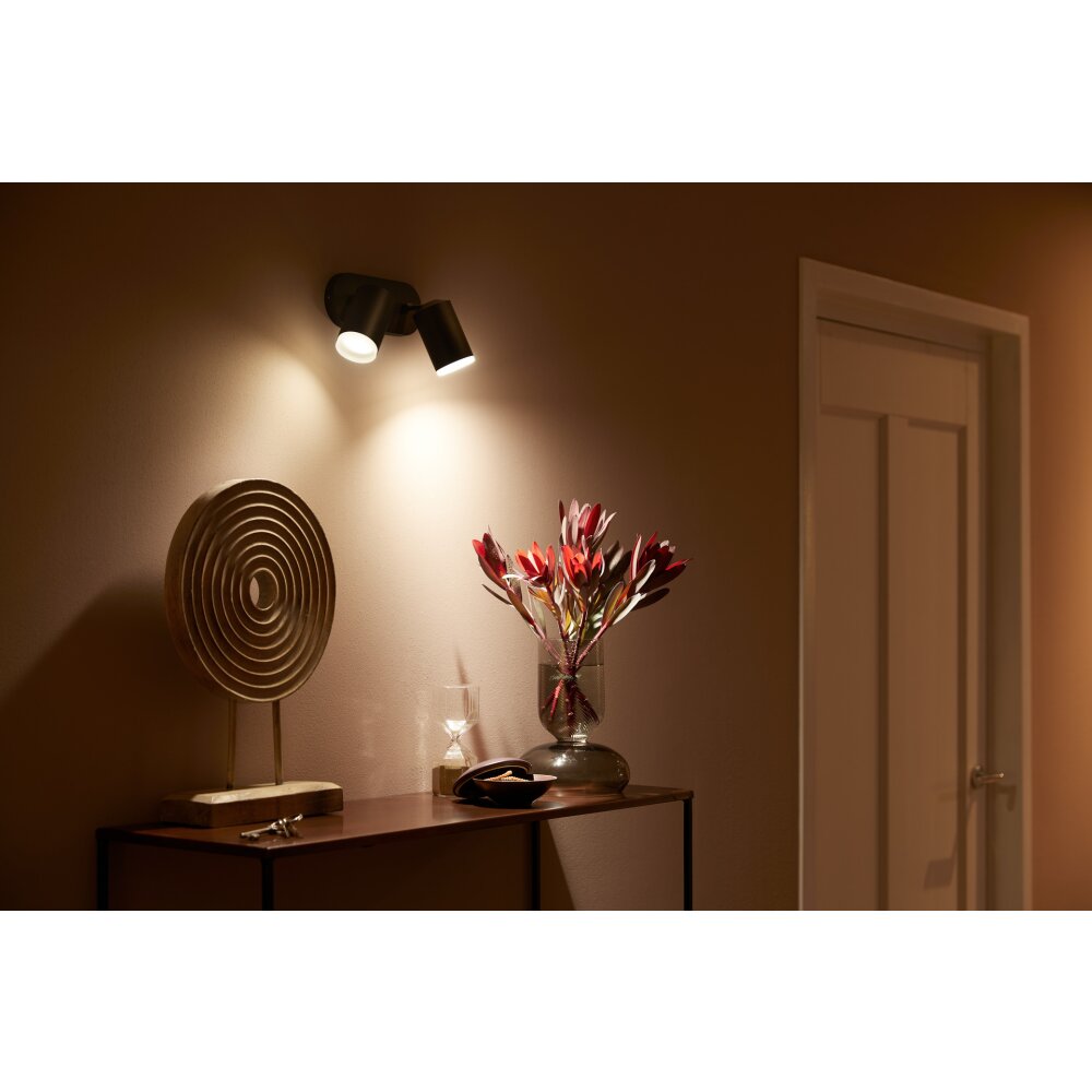 Philips Hue Fugato Lampa Sufitowa LED Czarny, 2-punktowe, Zmieniacz kolorów main product photo