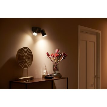 Philips Hue Fugato Lampa Sufitowa LED Czarny, 2-punktowe, Zmieniacz kolorów