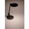 Philips Einstein lampka nocna LED Szary, 1-punktowy