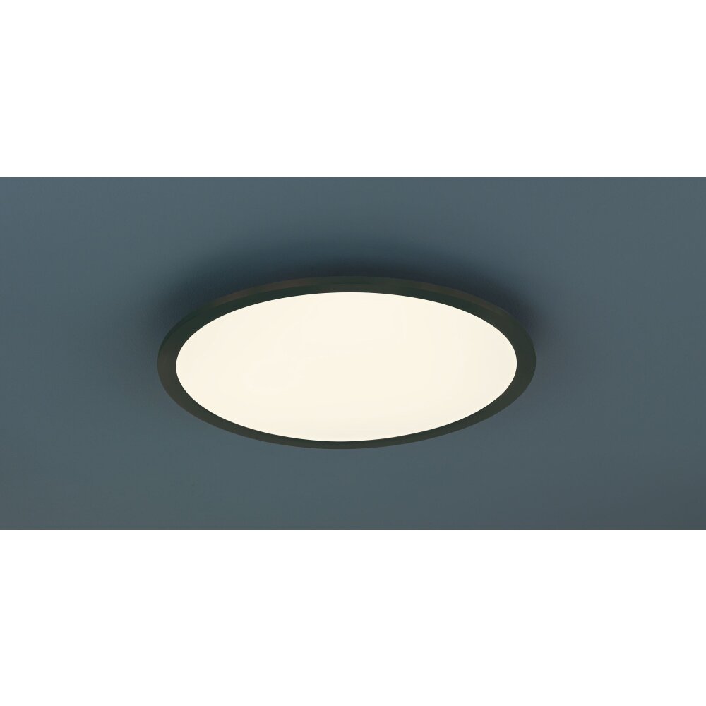Trio Phoenix Lampa Sufitowa LED Czarny, Biały, 1-punktowy main product photo