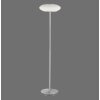Paul Neuhaus Q-ETIENNE Lampa Stojąca LED Stal szczotkowana, 1-punktowy, Zdalne sterowanie