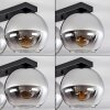 Koyoto  Lampa Sufitowa Szkło 20 cm Chrom, Przezroczysty, Przydymiony, 3-punktowe