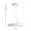 Philips Hue Enrave Lampa Wisząca LED Biały, 1-punktowy, Zdalne sterowanie