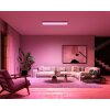 Philips Hue Surimu Lampa Sufitowa LED Biały, 1-punktowy, Zmieniacz kolorów