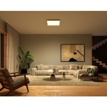 Philips Hue Surimu Lampa Sufitowa LED Biały, 1-punktowy, Zmieniacz kolorów