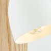 Brilliant Daintree Lampa ścienna Ecru, Biały, 1-punktowy
