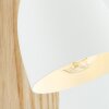 Brilliant Daintree Lampa ścienna Ecru, Biały, 1-punktowy