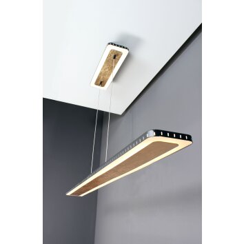 Luce Design Solaris Lampa Wisząca LED Złoty, Czarny, 1-punktowy