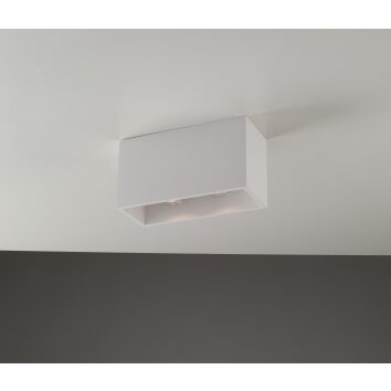 Luce Design Foster Lampa Sufitowa może być pomalowany na kolory komercyjne, Biały, 2-punktowe