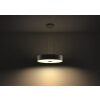 Philips Hue Fair Lampa Wisząca LED Czarny, 1-punktowy, Zdalne sterowanie