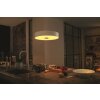 Philips Hue Fair Lampa Wisząca LED Biały, 1-punktowy, Zdalne sterowanie