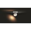 Philips Hue Buckram Lampa Sufitowa LED Biały, 1-punktowy, Zdalne sterowanie