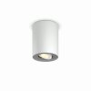 Philips Hue Pillar Lampa Sufitowa LED Biały, 1-punktowy