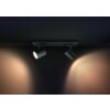 Philips Hue Runner Lampa Sufitowa LED Czarny, 2-punktowe, Zdalne sterowanie