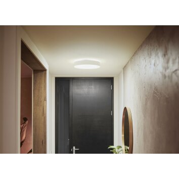 Philips Hue Enrave Lampa Sufitowa LED Biały, 1-punktowy, Zdalne sterowanie