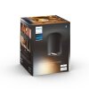 Philips Hue Pillar Lampa Sufitowa LED Czarny, 1-punktowy