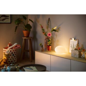 Philips Hue Flourish lampka nocna LED Biały, 1-punktowy, Zmieniacz kolorów