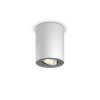 Philips Hue Pillar Lampa Sufitowa LED Biały, 1-punktowy, Zdalne sterowanie