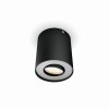 Philips Hue Pillar Lampa Sufitowa LED Czarny, 1-punktowy, Zdalne sterowanie