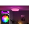 Philips Hue Flourish Lampa Sufitowa LED Biały, 1-punktowy, Zmieniacz kolorów