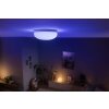 Philips Hue Flourish Lampa Sufitowa LED Biały, 1-punktowy, Zmieniacz kolorów