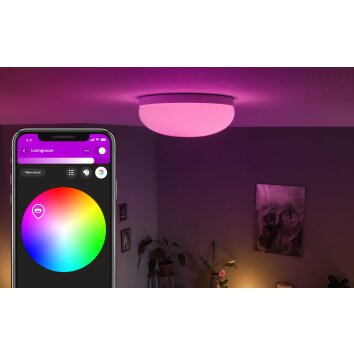 Philips Hue Flourish Lampa Sufitowa LED Biały, 1-punktowy, Zmieniacz kolorów