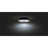 Philips Hue Fair Lampa Sufitowa LED Czarny, 1-punktowy, Zdalne sterowanie