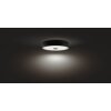 Philips Hue Fair Lampa Sufitowa LED Czarny, 1-punktowy, Zdalne sterowanie