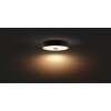 Philips Hue Fair Lampa Sufitowa LED Czarny, 1-punktowy, Zdalne sterowanie