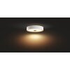 Philips Hue Fair Lampa Sufitowa LED Biały, 1-punktowy, Zdalne sterowanie