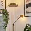 Huallilemu Lampa Stojąca oświetlająca sufit LED Stary mosiądz, 2-punktowe