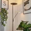 Murca Lampa Stojąca oświetlająca sufit LED Stary mosiądz, 2-punktowe