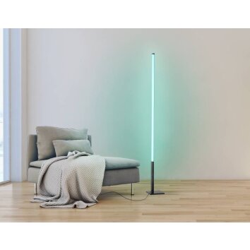 Eglo PICACHA Lampa Stojąca LED Czarny, 1-punktowy, Zdalne sterowanie, Zmieniacz kolorów