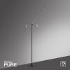 Paul Neuhaus PURE-GRAFO Lampa Stojąca LED Czarny, 1-punktowy