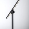 Paul Neuhaus PURE-GRAFO Lampa Stojąca LED Czarny, 1-punktowy