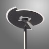 Paul Neuhaus PURE-MUTIL Lampa Stojąca oświetlająca sufit LED Antracytowy, 2-punktowe