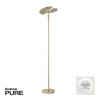 Paul Neuhaus PURE-MUTIL Lampa Stojąca oświetlająca sufit LED Mosiądz, 2-punktowe