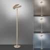 Paul Neuhaus PURE-MUTIL Lampa Stojąca oświetlająca sufit LED Mosiądz, 2-punktowe