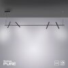 Paul Neuhaus PURE-TUTUA Lampa Wisząca LED Czarny, 4-punktowe