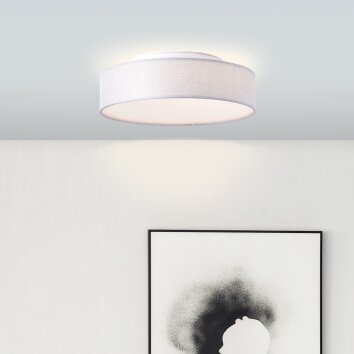 Brilliant Anissa Lampa Sufitowa LED Biały, 1-punktowy